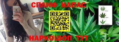mdpv Заволжье